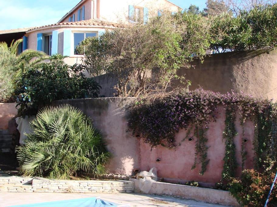 Incredible Apartment Near The Sea And Calanque La Ciotat Exterior photo
